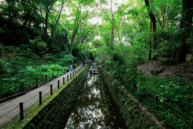 東京なのに気軽に出会える大自然「等々力渓谷」で、ココロとカラダをリフレッシュしてきた